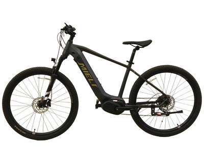 E-MTB MC01