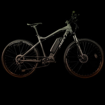 E-MTB e9000